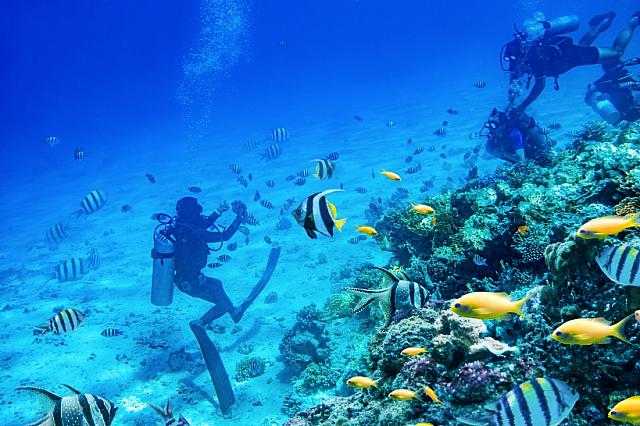 ベトナム駐在員がおすすめするベトナムの最後の秘境「フーコック島」旅行でのおすすめアクティビティ珊瑚礁保護区でのシュノーケルは特別な思い出のなりますよ！
