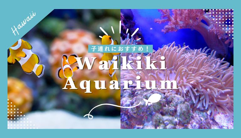 子連れハワイならワイキキ水族館がおすすめ！