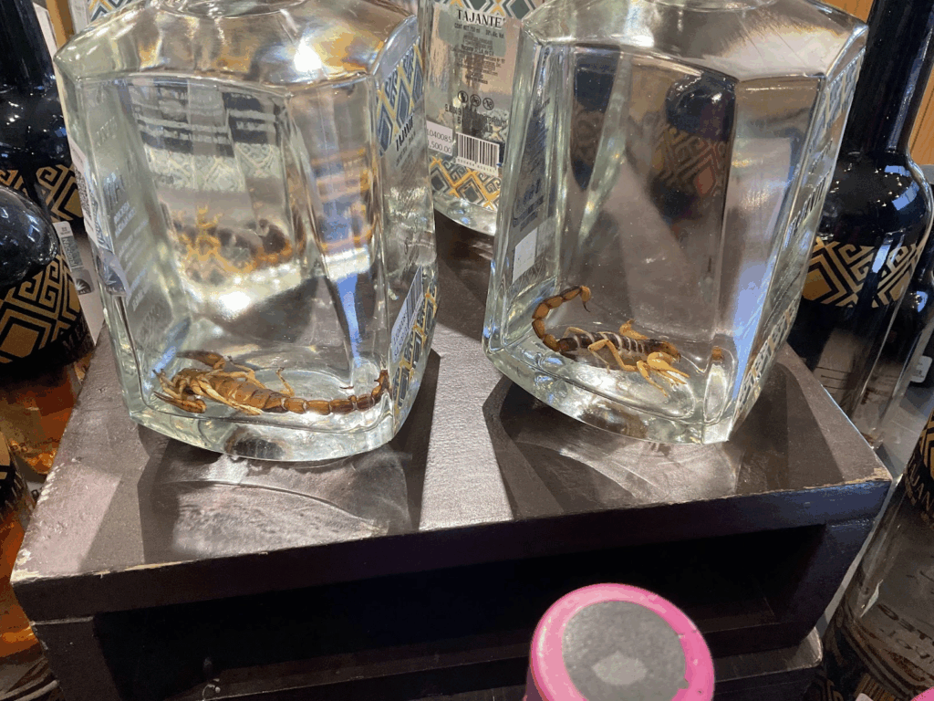 メキシコの蠍の入ったお酒