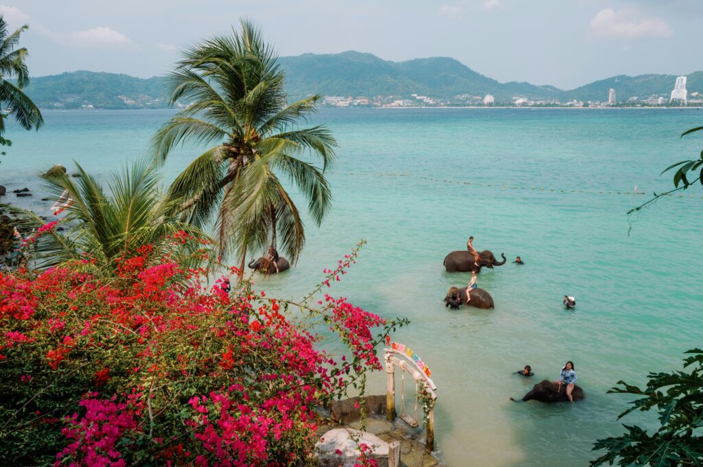 ベトナムの海と自然