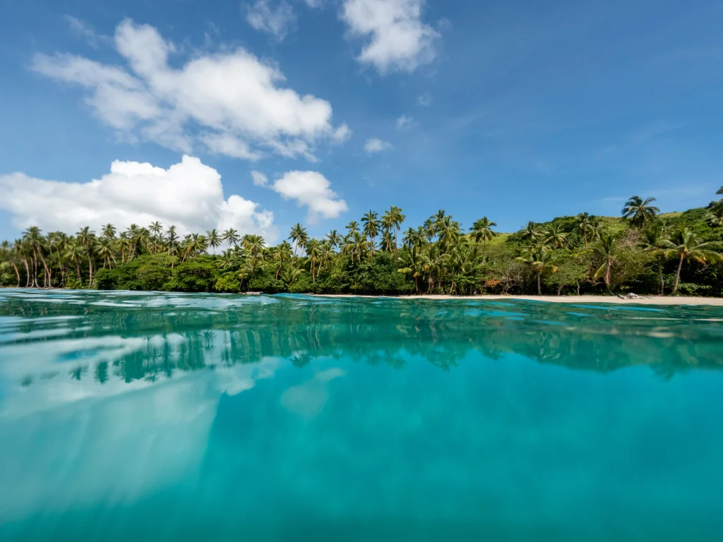 フィジーの南国感溢れる美しい海とヤシの実の風景